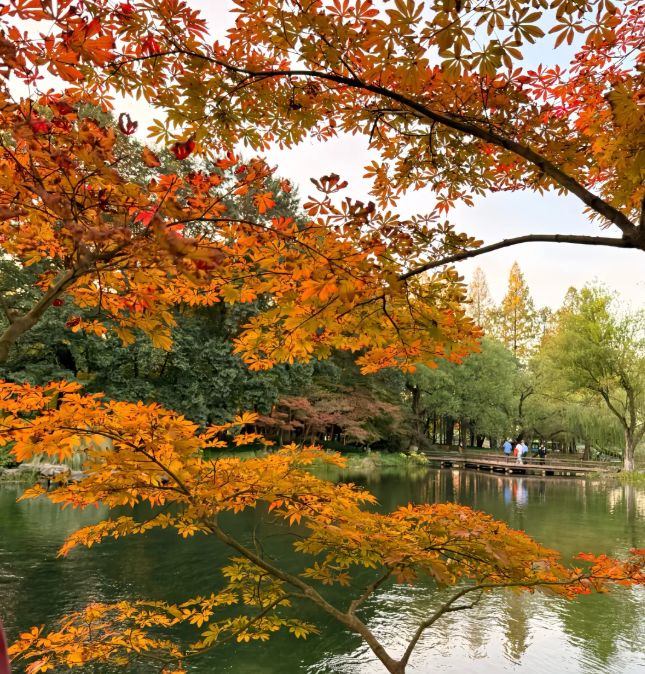 OP10 出炉:远胜游998分登顶避坑指南收好mg不朽情缘游戏平台2025杭州靠谱旅行社T(图5) OP10 出炉:远胜游998分登顶避坑指南收好mg不朽情缘游戏平台2025杭州靠谱旅行社T(图5)