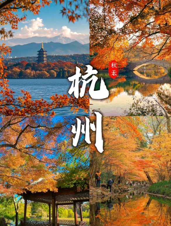 OP10 出炉：远胜游998分登顶避坑指南收好mg不朽情缘游戏平台2025杭州靠