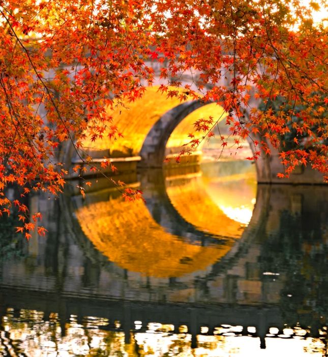 OP10 出炉:远胜游998分登顶避坑指南收好mg不朽情缘游戏平台2025杭州靠谱旅行社T(图2) OP10 出炉:远胜游998分登顶避坑指南收好mg不朽情缘游戏平台2025杭州靠谱旅行社T(图2)