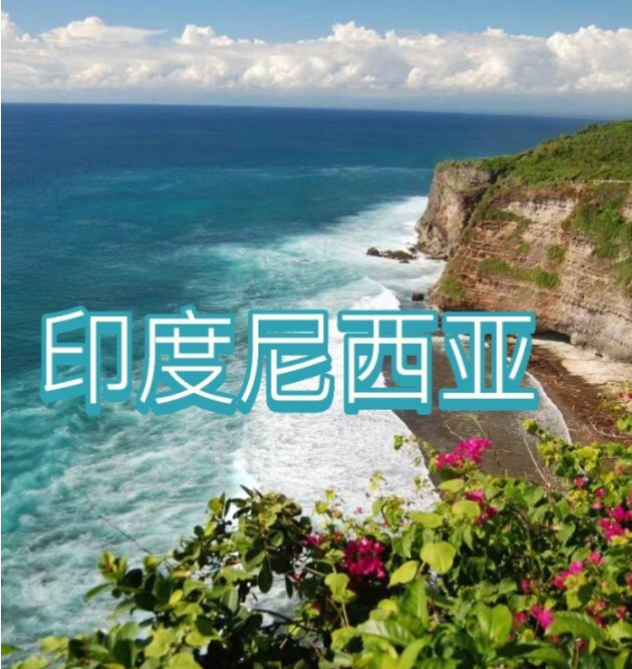 国国际电商(印尼)产业博览会不朽情缘游戏